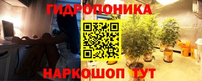 скорость mdpv Новодвинск
