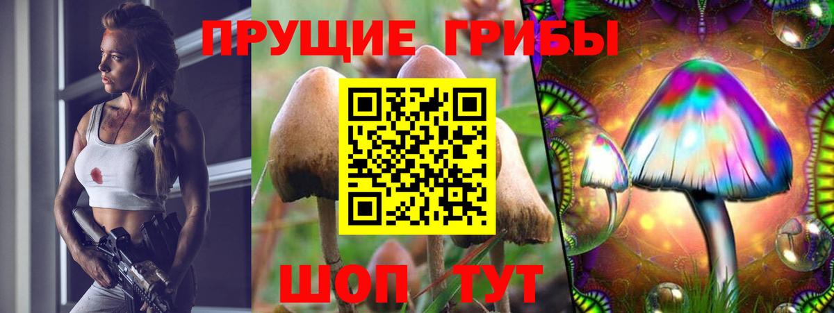 Псилоцибиновые грибы мицелий Рыбинск