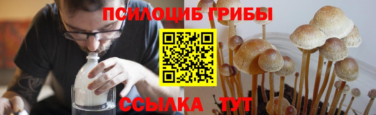 Рыбинск  Псилоцибиновые грибы GOLDEN TEACHER  Вход с VPN 